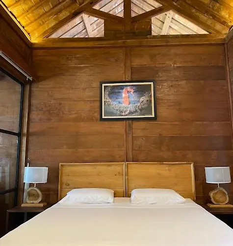 Shanti Life Wooden House