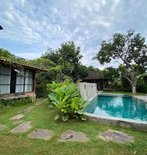 Shanti Life Wooden House